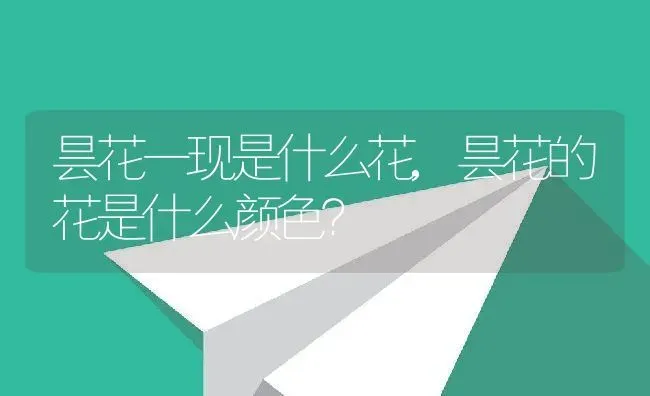 昙花一现是什么花,昙花的花是什么颜色？ | 养殖常见问题