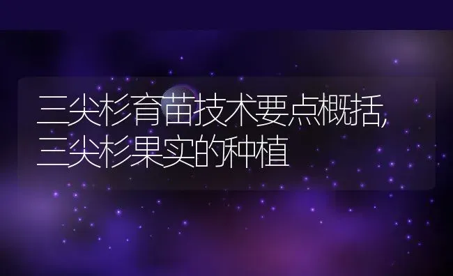 三尖杉育苗技术要点概括,三尖杉果实的种植 | 养殖常见问题