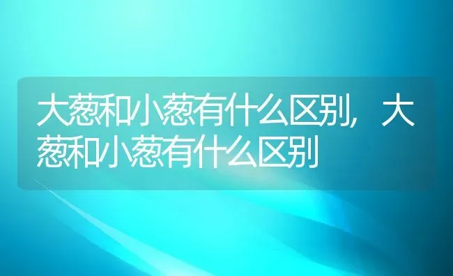 大葱和小葱有什么区别,大葱和小葱有什么区别 | 养殖常见问题