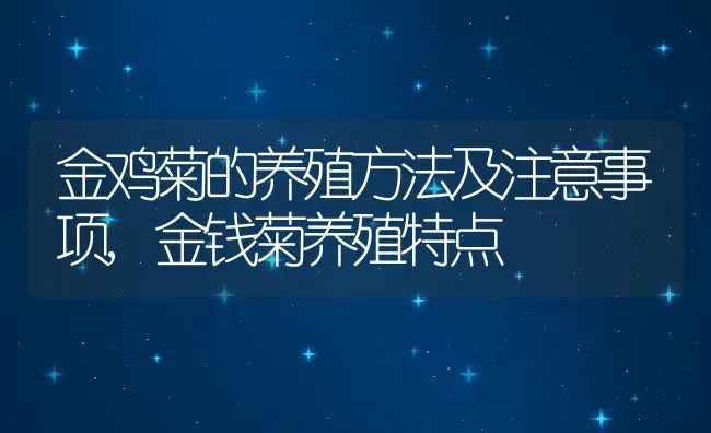 金鸡菊的养殖方法及注意事项,金钱菊养殖特点 | 养殖常见问题