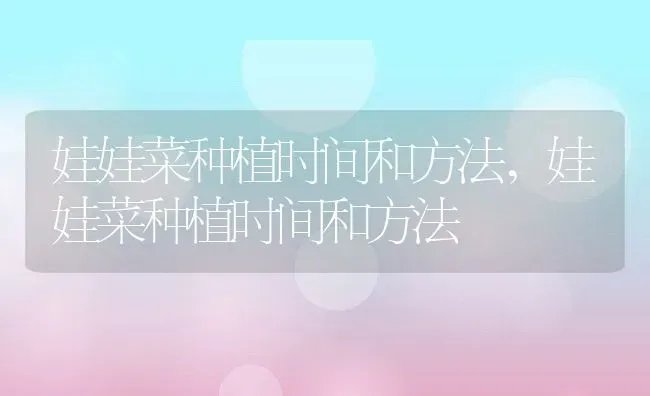 娃娃菜种植时间和方法,娃娃菜种植时间和方法 | 养殖常见问题