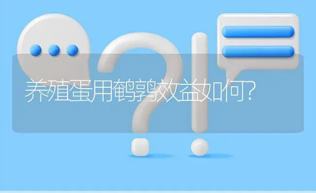 养殖蛋用鹌鹑效益如何? | 养殖问题解答