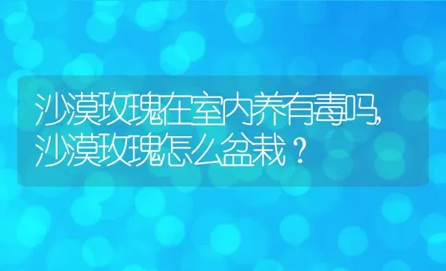 沙漠玫瑰在室内养有毒吗,沙漠玫瑰怎么盆栽？ | 养殖常见问题