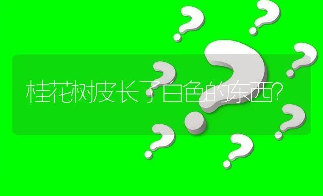 桂花树皮长了白色的东西? | 养殖问题解答