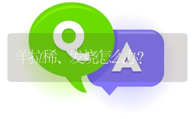 羊拉稀、发烧怎么办? | 养殖问题解答