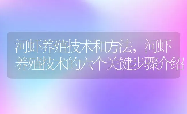 河虾养殖技术和方法,河虾养殖技术的六个关键步骤介绍 | 养殖常见问题