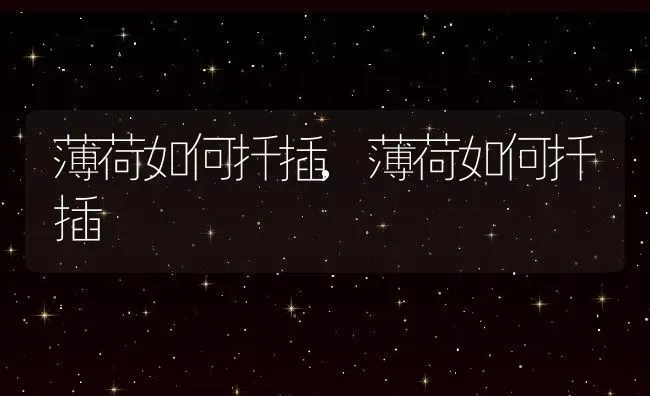 薄荷如何扦插,薄荷如何扦插 | 养殖常见问题