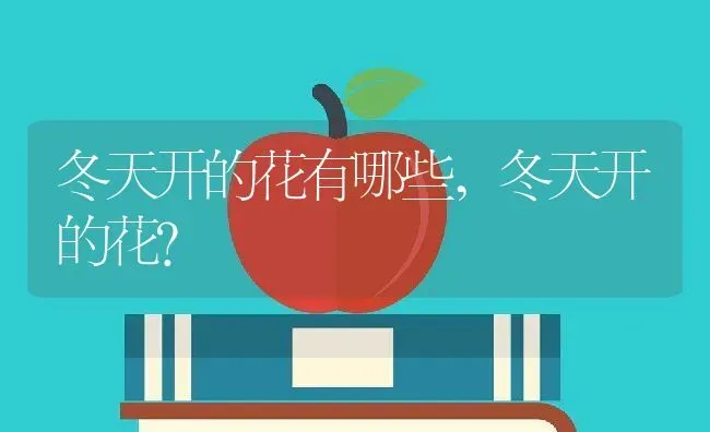 冬天开的花有哪些,冬天开的花？ | 养殖常见问题