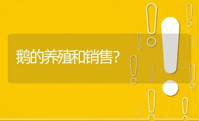 鹅的养殖和销售? | 养殖问题解答