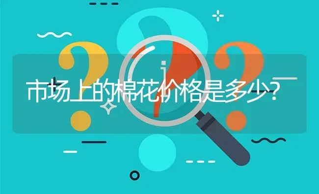 市场上的棉花价格是多少? | 养殖问题解答