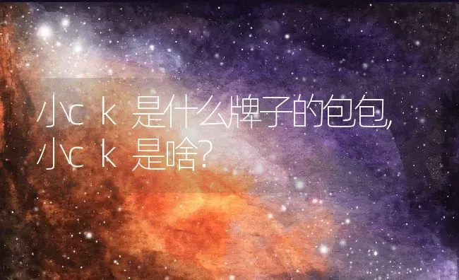 小ck是什么牌子的包包,小ck是啥？ | 养殖常见问题