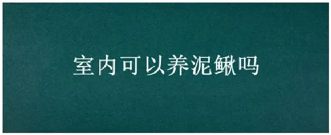 室内可以养泥鳅吗 | 农业问题