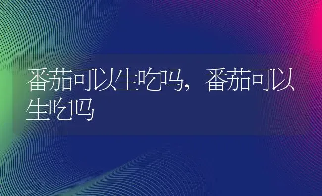 番茄可以生吃吗,番茄可以生吃吗 | 养殖常见问题