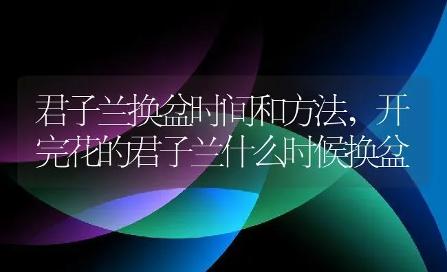 君子兰换盆时间和方法,开完花的君子兰什么时候换盆 | 养殖常见问题