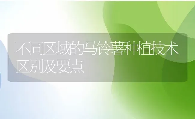 不同区域的马铃薯种植技术区别及要点 | 养殖常见问题