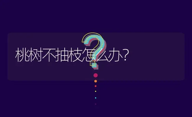 桃树不抽枝怎么办? | 养殖问题解答