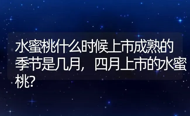 水蜜桃什么时候上市成熟的季节是几月,四月上市的水蜜桃？ | 养殖常见问题