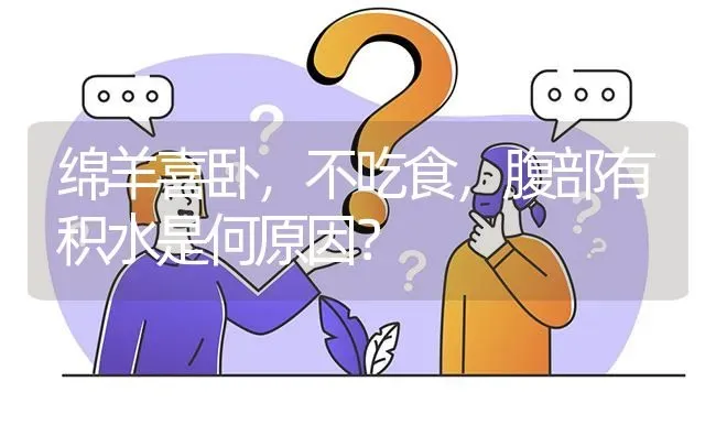 绵羊喜卧,不吃食,腹部有积水是何原因? | 养殖问题解答
