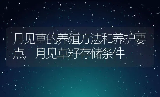 月见草的养殖方法和养护要点,月见草籽存储条件 | 养殖常见问题