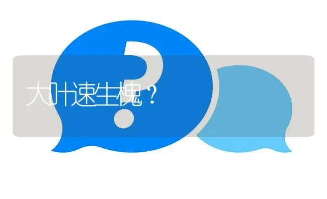 大叶速生槐? | 养殖问题解答