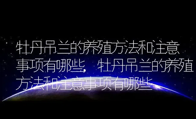 牡丹吊兰的养殖方法和注意事项有哪些,牡丹吊兰的养殖方法和注意事项有哪些 | 养殖常见问题