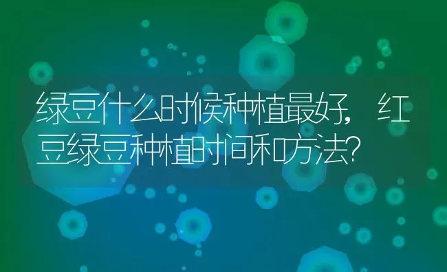绿豆什么时候种植最好,红豆绿豆种植时间和方法？ | 养殖常见问题