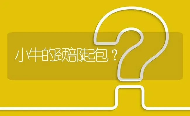 小牛的颈部起包? | 养殖问题解答