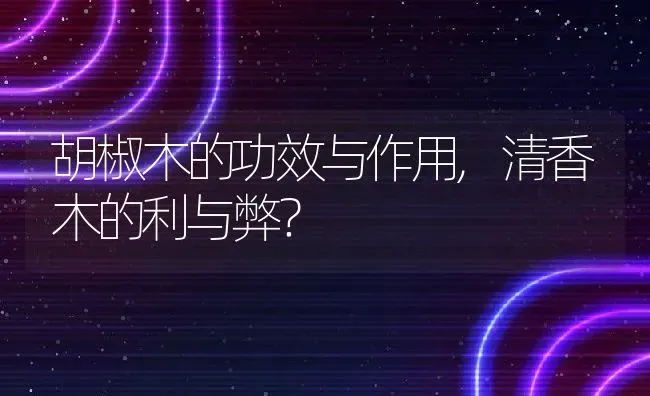 胡椒木的功效与作用,清香木的利与弊？ | 养殖常见问题