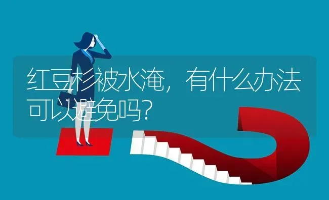 红豆杉被水淹,有什么办法可以避免吗? | 养殖问题解答