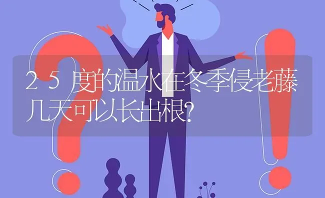 25度的温水在冬季侵老藤几天可以长出根? | 养殖问题解答