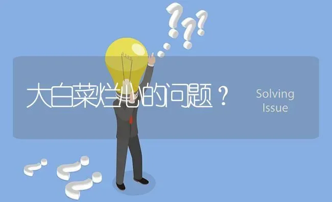 大白菜烂心的问题? | 养殖问题解答