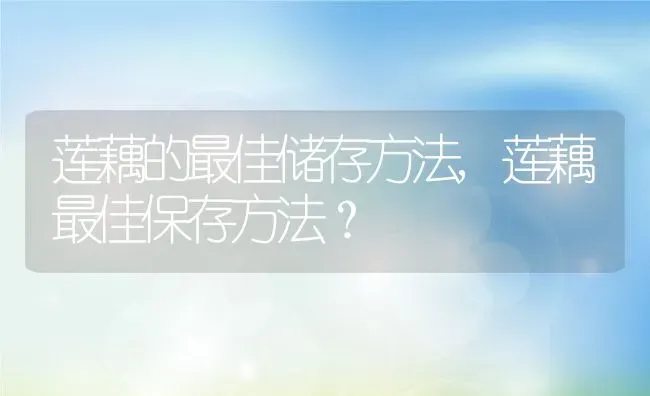 莲藕的最佳储存方法,莲藕最佳保存方法？ | 养殖常见问题