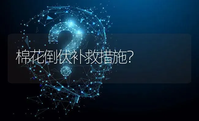 棉花倒伏补救措施? | 养殖问题解答
