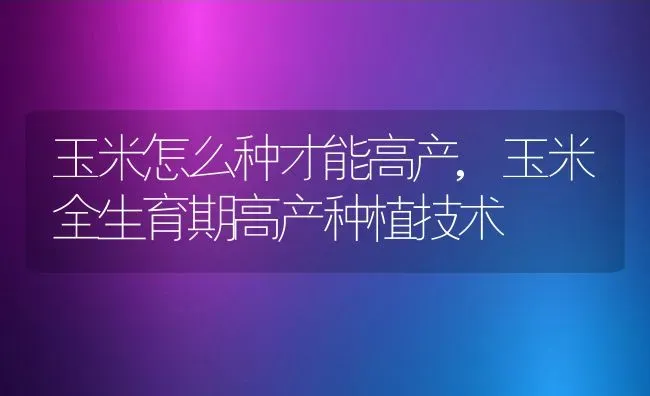 玉米怎么种才能高产,玉米全生育期高产种植技术 | 养殖常见问题