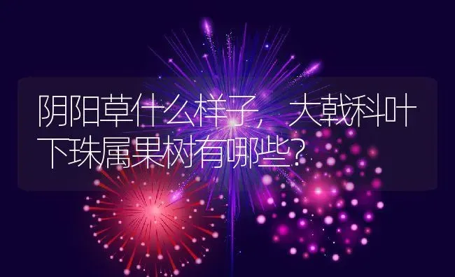 阴阳草什么样子,大戟科叶下珠属果树有哪些？ | 养殖常见问题