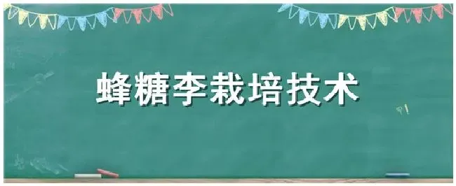 蜂糖李栽培技术 | 农业常识