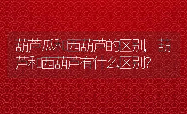 葫芦瓜和西葫芦的区别,葫芦和西葫芦有什么区别？ | 养殖常见问题