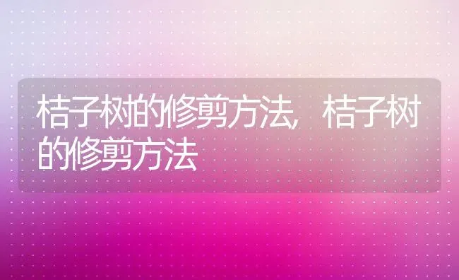 桔子树的修剪方法,桔子树的修剪方法 | 养殖常见问题