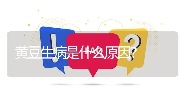 黄豆生病是什么原因? | 养殖问题解答