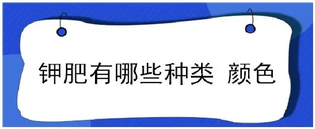 钾肥有哪些种类 颜色 | 三农答疑