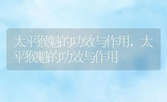 太平猴魁的功效与作用,太平猴魁的功效与作用 | 养殖常见问题