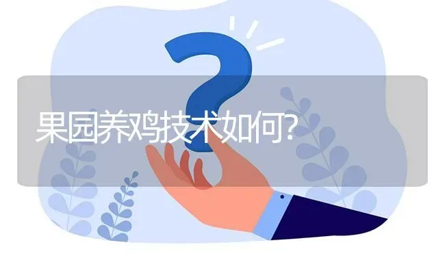 果园养鸡技术如何? | 养殖问题解答