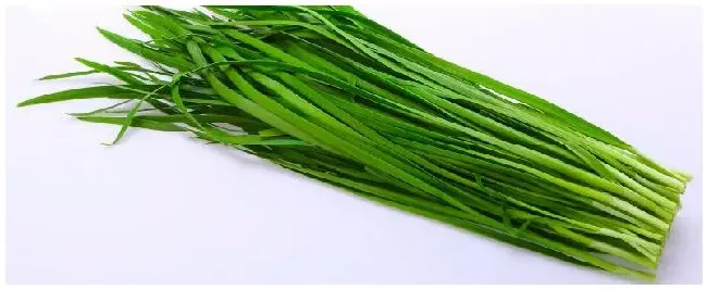 野韭菜花几月开 | 三农问答