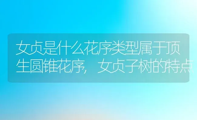 女贞是什么花序类型属于顶生圆锥花序,女贞子树的特点 | 养殖常见问题