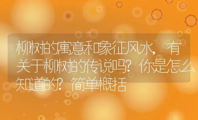 红萝卜是生吃好还是熟吃好,红萝卜生吃怎么样？ | 养殖常见问题