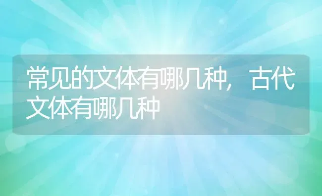 常见的文体有哪几种,古代文体有哪几种 | 养殖常见问题