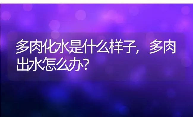 多肉化水是什么样子,多肉出水怎么办？ | 养殖常见问题
