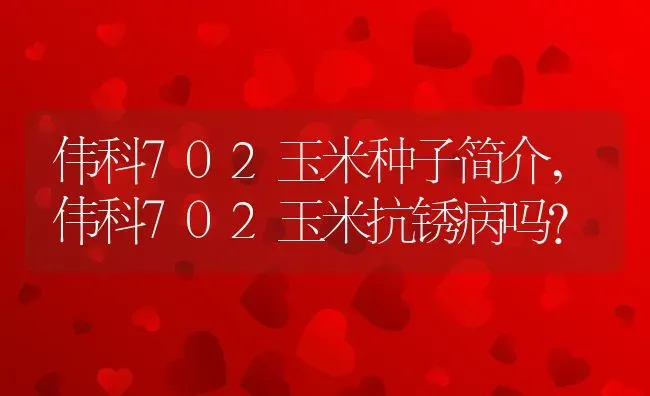 伟科702玉米种子简介,伟科702玉米抗锈病吗？ | 养殖常见问题