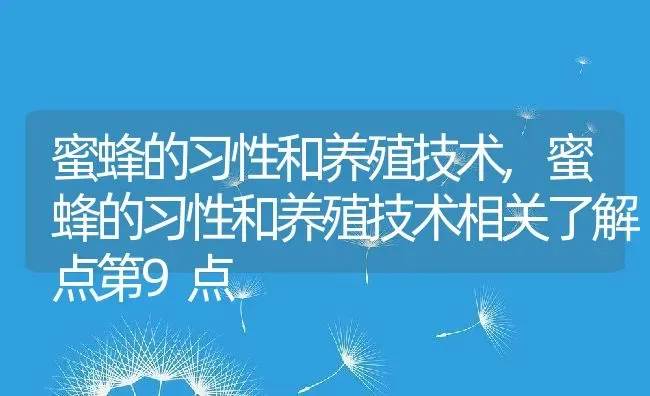 蜜蜂的习性和养殖技术,蜜蜂的习性和养殖技术相关了解点第9点 | 养殖常见问题