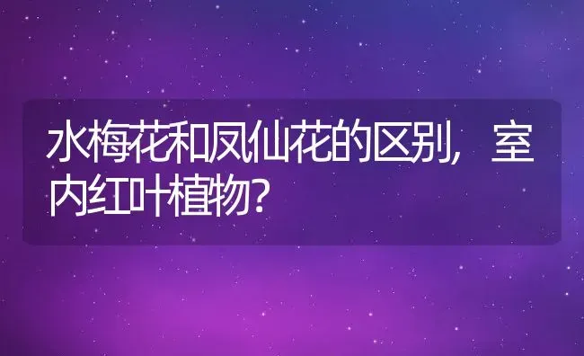 水梅花和凤仙花的区别,室内红叶植物？ | 养殖常见问题